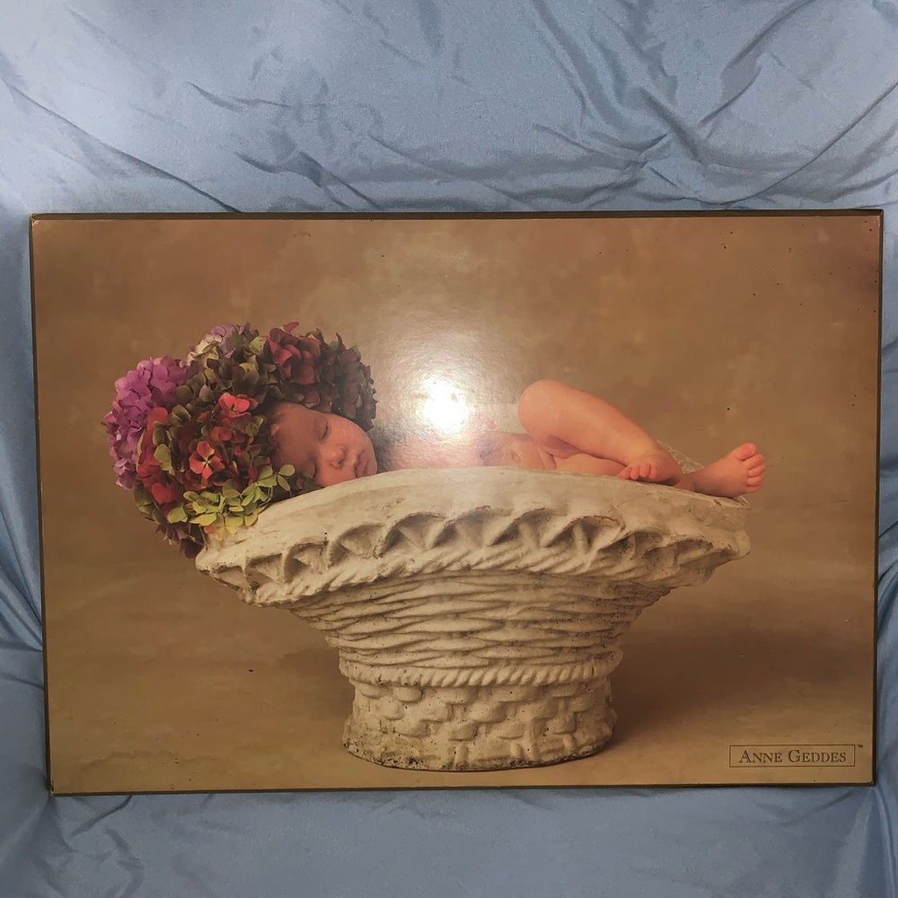 1996 Anne Geddes 13”x19” wood mounted pic